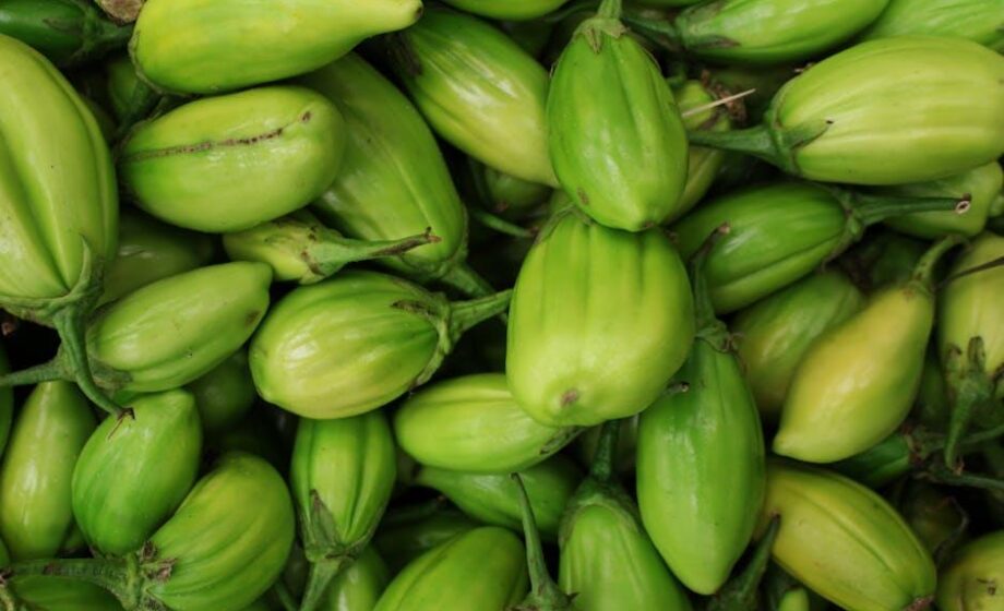 AgroFood-News für Unternehmen