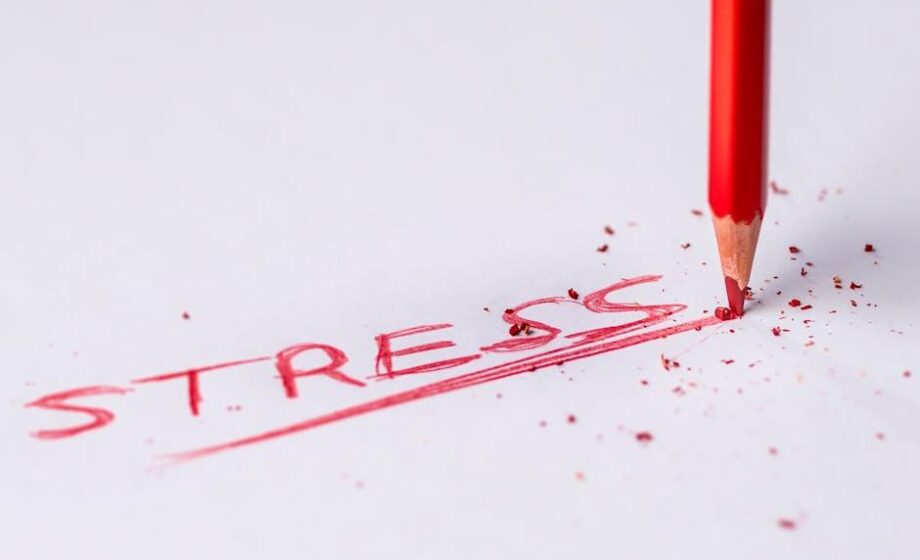 Stress im Fokus: Landwirtschaft und mentale Gesundheit