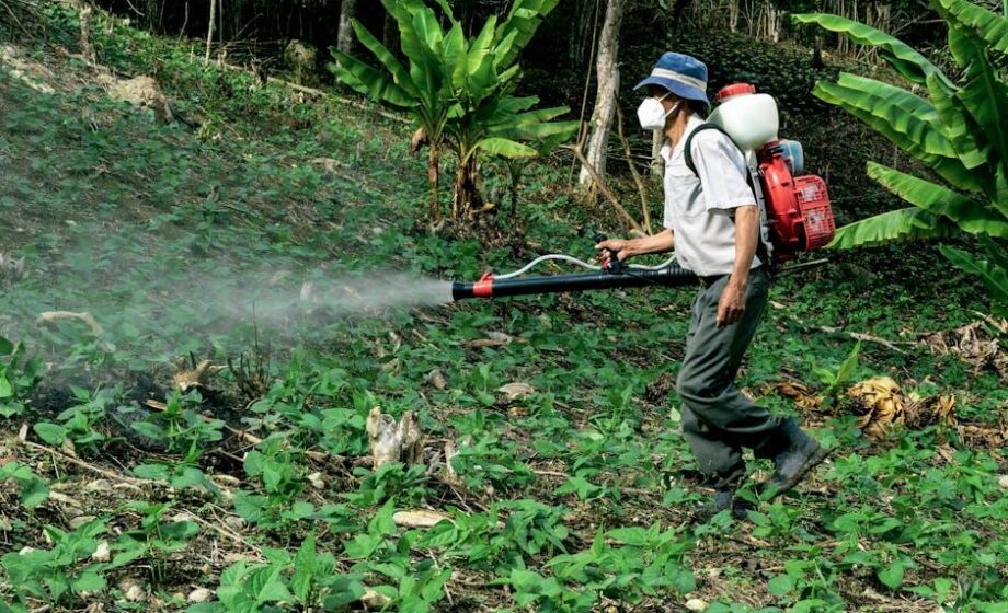 Herbizide bei Sonnenschein anwenden, raten Experten