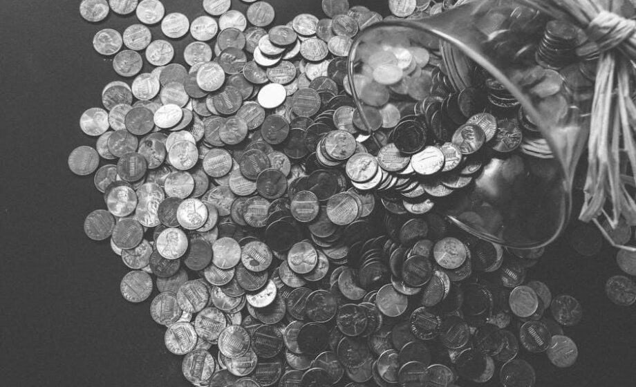 PENNY: Sortiment jetzt mit torffreier Blumenerde