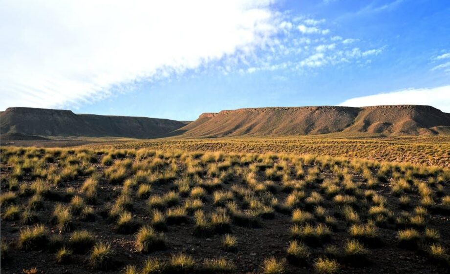 Schädigen Alien-Land-Gesetze asiatische Amerikaner?