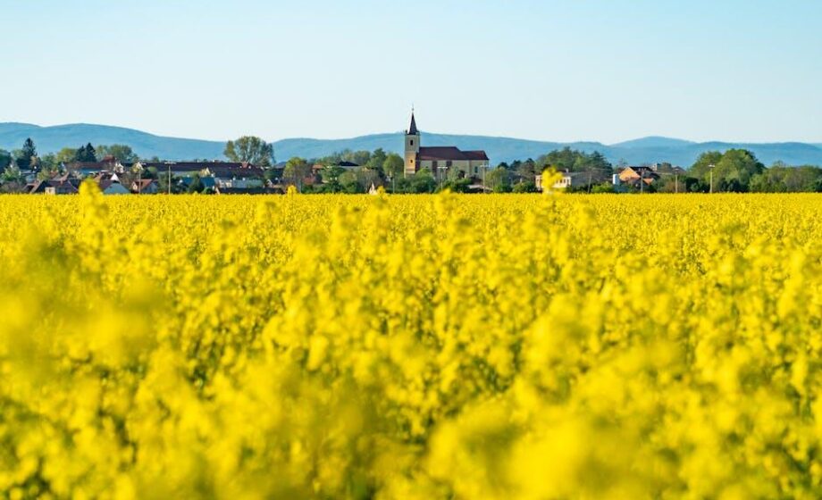 Welche Bodenregulierungen gibt es in Europa?