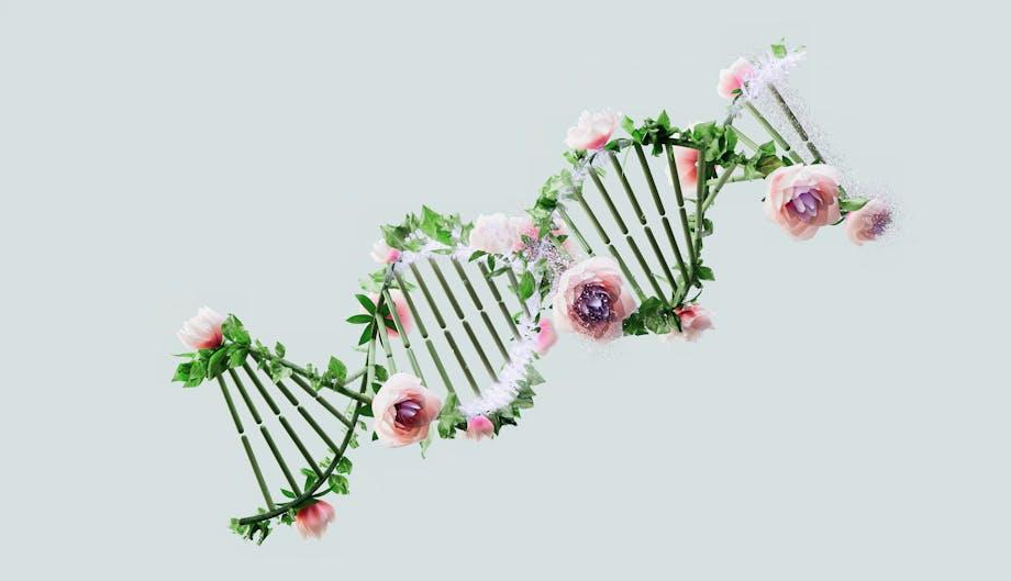 Biodiversität & Genetik: Wissenschaftliche Veröffentlichungen