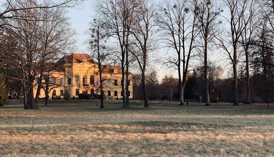 Brachvogel-Zukunft: LBV-Forschung optimiert Schutzmaßnahmen