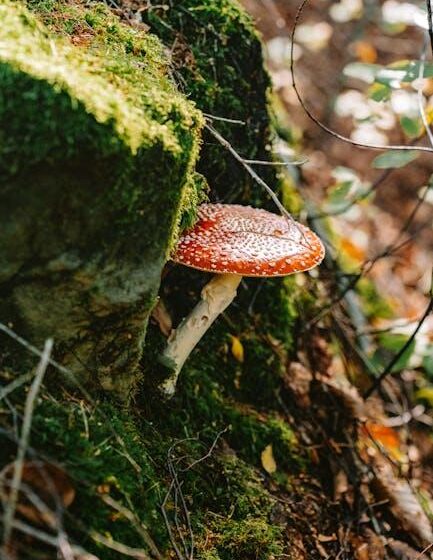 Eigenes Sanierungsverfahren gestartet in Sachsen