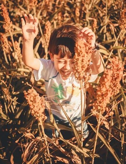Sorghum & Sonnenblume: Spectrum®-Einsatz März-Juli genehmigt