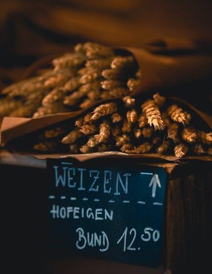 Euronext-Weizen strebt Erholung an