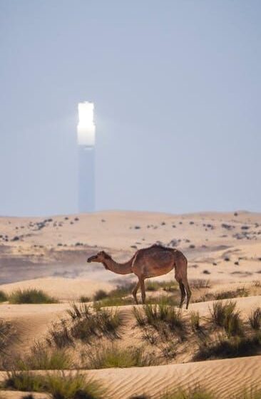 Solarpotenzial entdecken: Interaktiver Solar-Atlas
