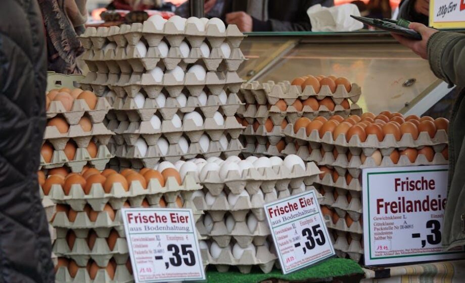 Höchste Zahl an Legehennen in Bodenhaltung