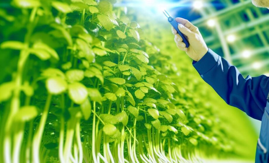 Kann Elektro-Agrarwirtschaft die Lebensmittelproduktion revolutionieren?