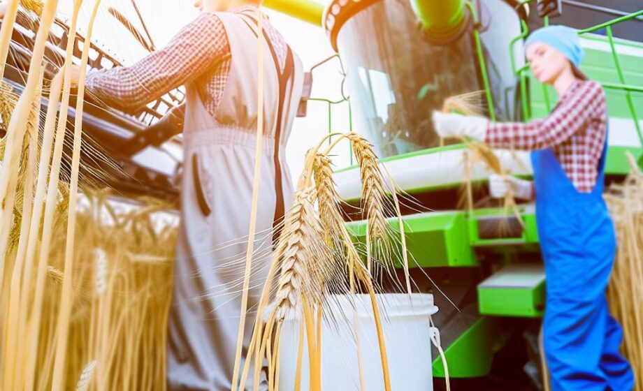 Der Agro-Report – Infozeitung für Agrarunternehmen
