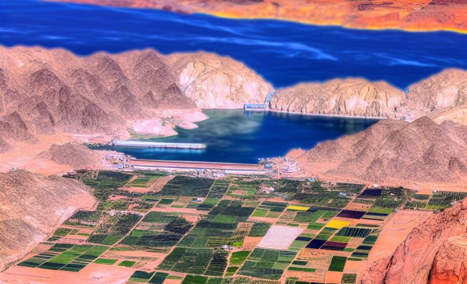 Algerien & Ägypten: Mehr Produktion, weniger Import
