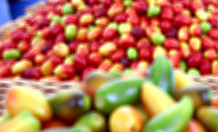 Spanische Obst- und Gemüseimporte steigen um 14%