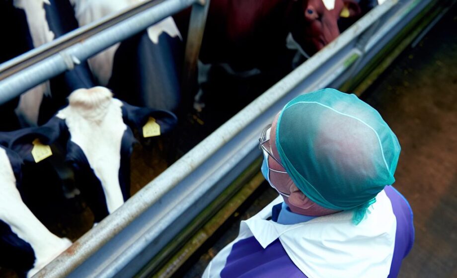 NFU drängt Kanzler: Investition in britische Landwirtschaft