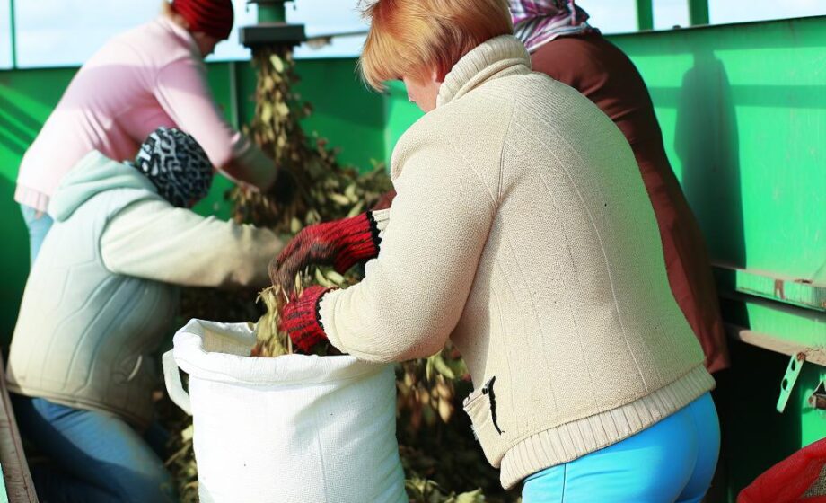 Förderprogramme stärken Landwirte im Krisenfall