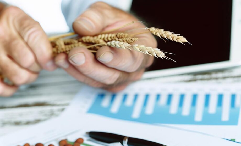 Der Agrarwirtschaftsreport – Informationen für Unternehmen