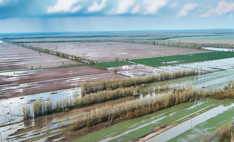 NFU fordert Hochwasserschutz für bedrohte Felder
