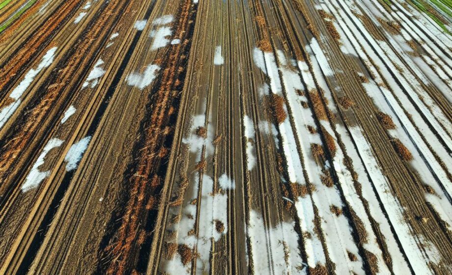 Über 8.700 Hektar Agrarfläche durch Hagel beschädigt