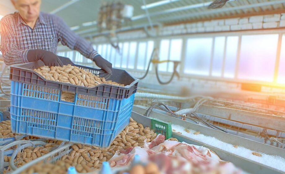 Agrarpreise: Verluste bei Getreide & Milch, Erholung bei Fleisch