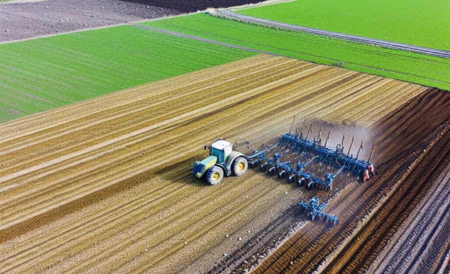 Il Punto – Landwirtschaftsinfo für Agrarunternehmen