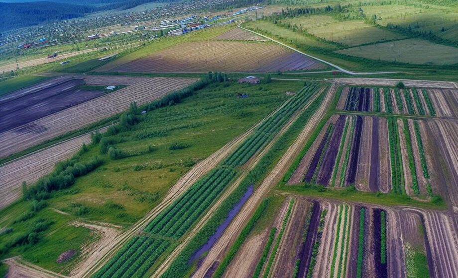 Auf dem Weg zur skalierbaren, vernetzten und transparenten Landwirtschaft