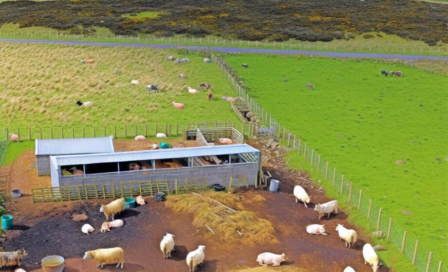 Schottland treibt Bio-Anbau voran, England hinkt nach