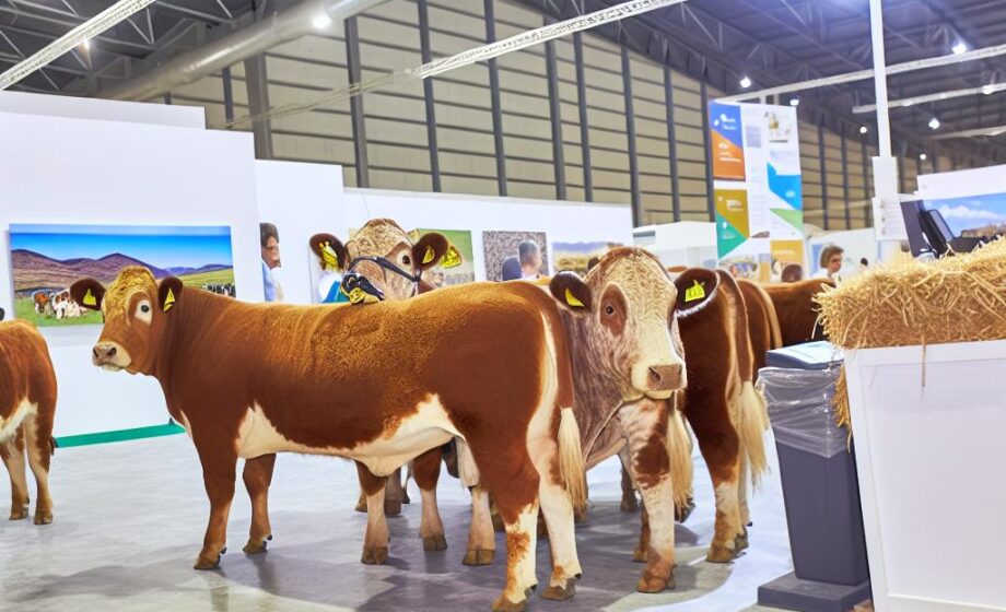 Infoagro Exhibition 2025 startet am 22. Mai in Almería