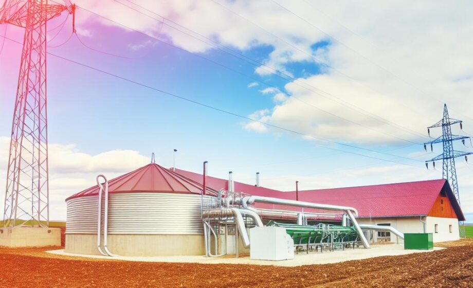 Biogas statt Ideologie: Realismus in der Landwirtschaft