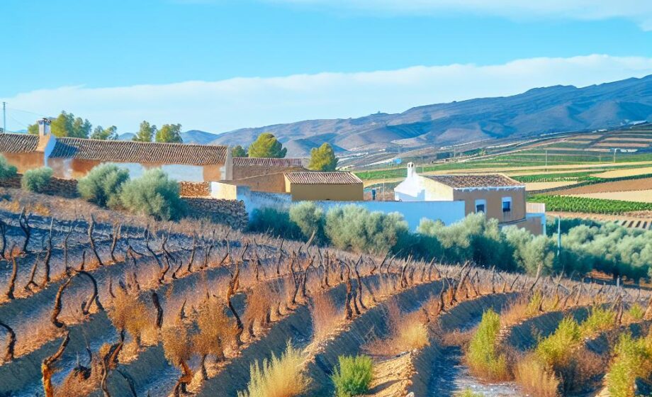 Mehltau vernichtet Weinreben: Huelva stark bedroht