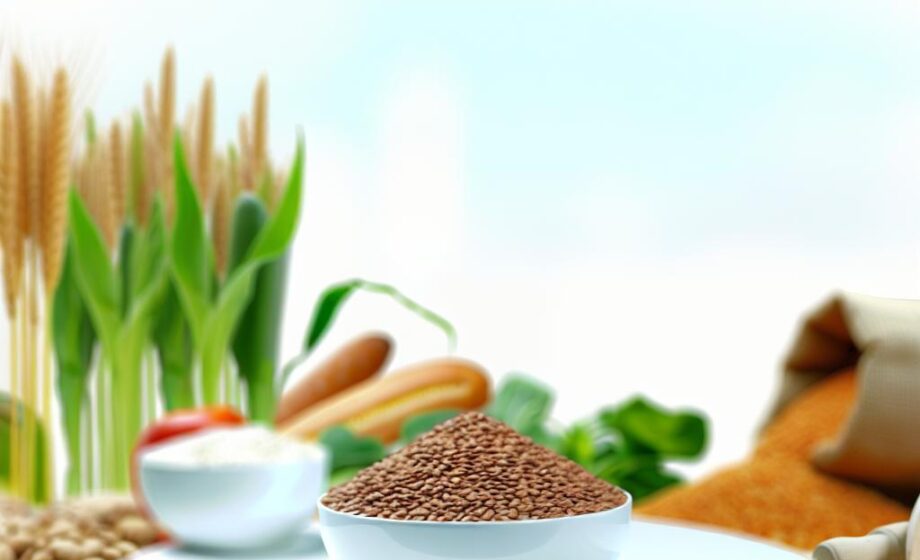 Agro-Impulse: Infojournal für Lebensmittelunternehmen