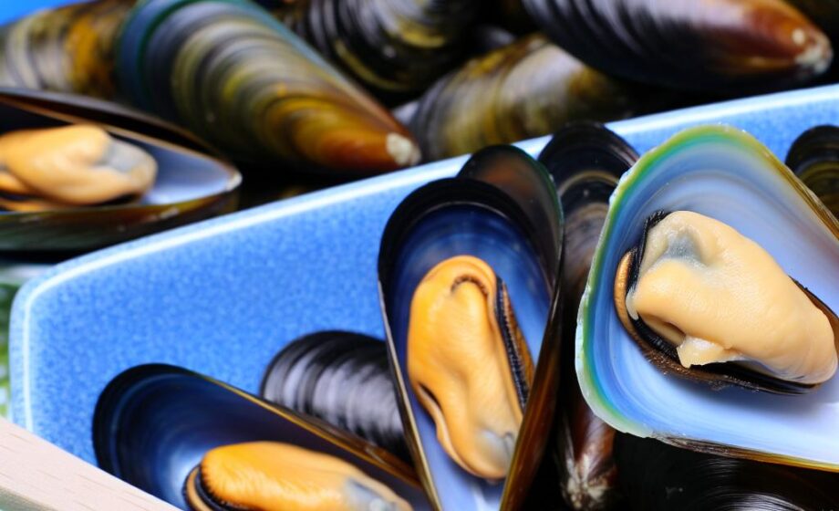 Sylter Miesmuscheln: Meeres-Superfood