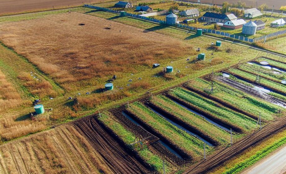 Spanische Regierung investiert 17 Mio. in Landwirtschaft in Torrent