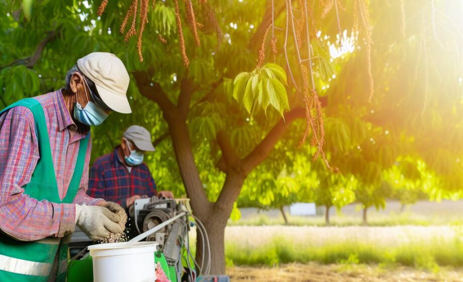 Fnab fordert 300 Mio. € für Bio-Farm-Schutz in Frankreich