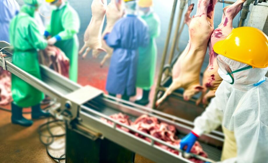 Rettung für kleine Schlachthöfe: FSA fördert Rabattplan
