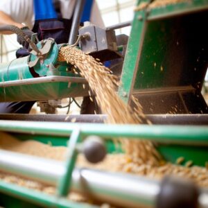 Agrarwirtschaft im Istat-Bericht „Noi Italia“ 2025