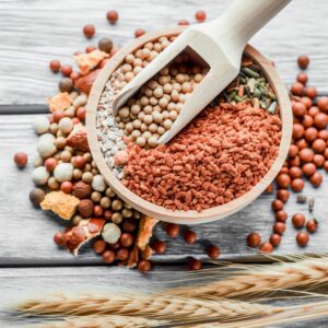 Agro-Info: Nachrichten für Ernährungsunternehmen