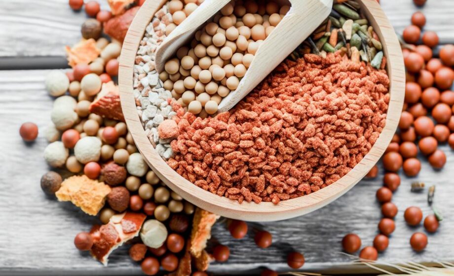 Agro-Info: Nachrichten für Ernährungsunternehmen