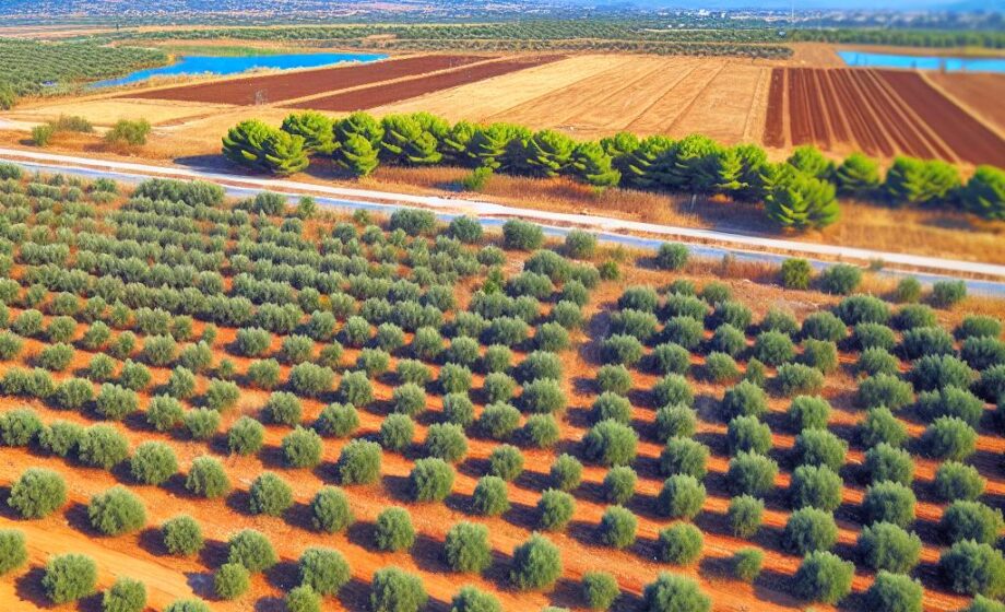 Griechenland: Landwirtschaft mit knappem Wasser