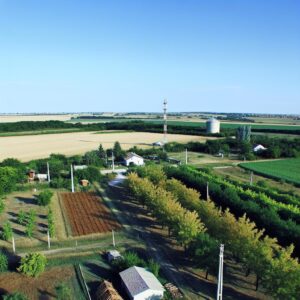 AgrarInfoPoint – Zeitung für Agrobetriebe