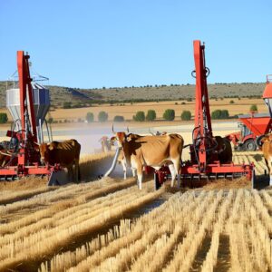 Spanien: 18,7 Mio. Euro Hilfe für betroffene Bauern
