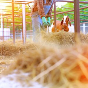 Aktuelle NFU-Farming-News auf einen Blick
