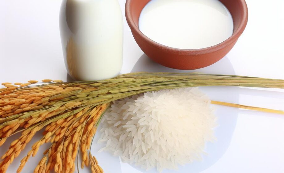 Agrarpreise: Spotmilch steigt, Reis schwach