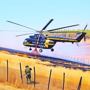 Feuerwehrchef: Mehr Hubschrauber gegen Waldbrände gefordert
