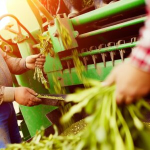 Agrarwirtschaft: Aktuelle Informationen für Betriebe