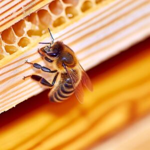 BEE: Ambivalenz im Haushaltsentwurf zur Infrastruktur