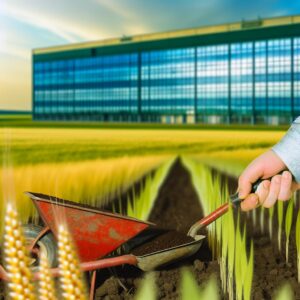 Der Agrarwirtschaftspunkt – Informationsblatt für Unternehmen