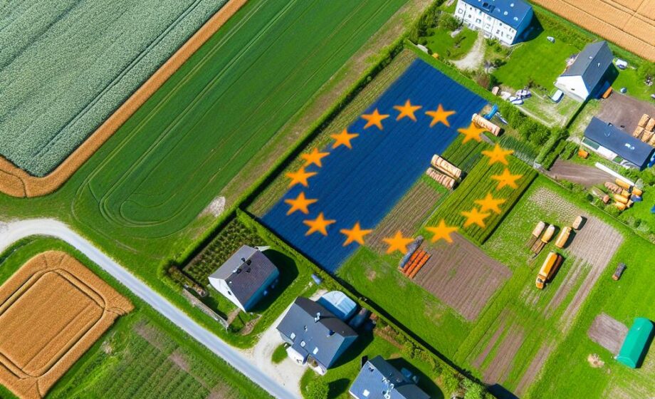 EU stellt 14 Mio. Euro für Polens Bauern bereit