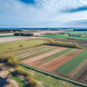 Bauernverband fordert zukunftsfähige Landwirtschaft