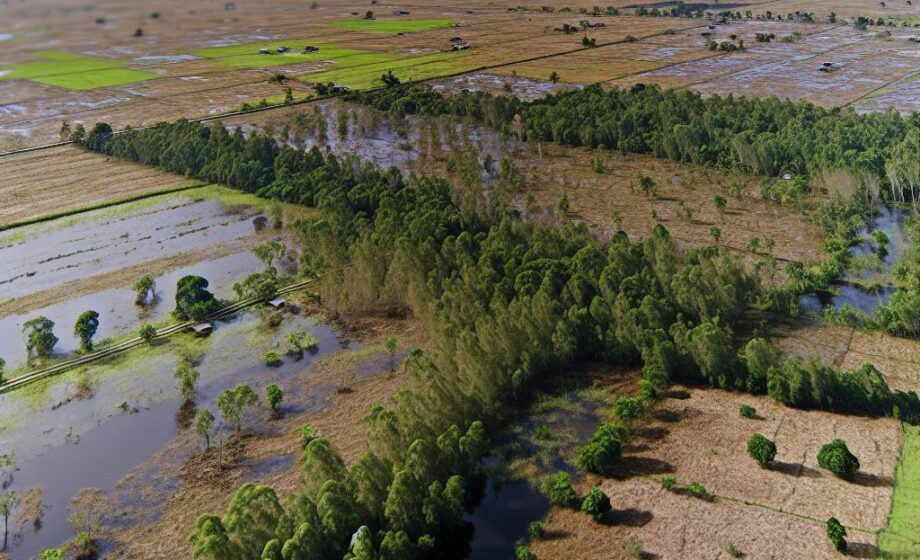 Planas fordert angemessene Finanzierung der nächsten GAP