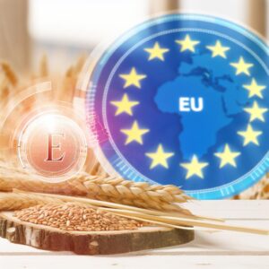 EU-Getreidemarkt steht vor Erholung